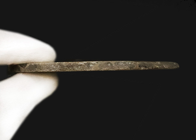 複雑な緑が魅力的……薄くカットされた大判、瑪瑙（メノウ）のスライス標本（その5）