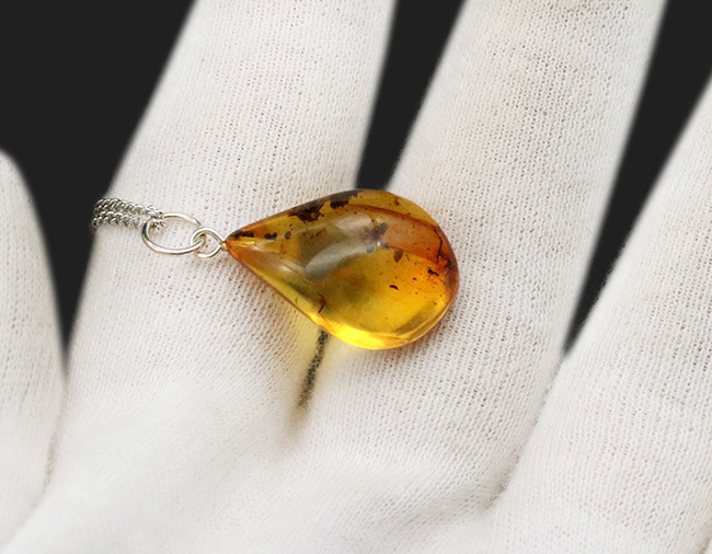 １センチの厚みが織りなす深みのある色合いにご注目！古代の虫が包まれた琥珀を用いたペンダントトップ（シルバーチェーン＆高級ジュエリーケース付き）（その4）