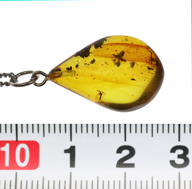 １センチの厚みが織りなす深みのある色合いにご注目！古代の虫が包まれた琥珀を用いたペンダントトップ（シルバーチェーン＆高級ジュエリーケース付き）（その9）