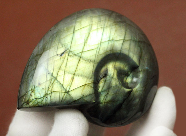 シュール過ぎる・・・。アンモナイトと見せかけて、実はラブラドライト(Labradorite)。ややこしくてごめんなさい。（その2）