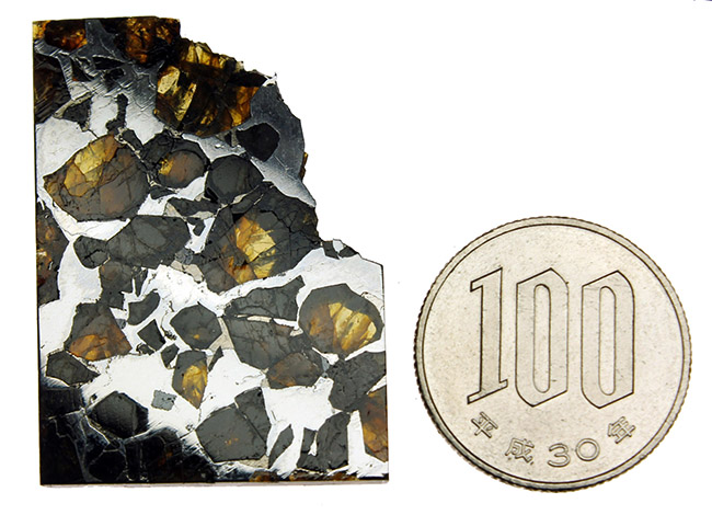 最も美しい隕石とされる石鉄隕石に分類されるブラヒン隕石です。宇宙空間で形成されたカンラン石と鉄ニッケル合金の不思議な模様をお楽しみください（空気を遮断する専用保存ケース付き）。（その9）