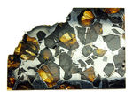 最も美しい隕石とされる石鉄隕石に分類されるブラヒン隕石です。宇宙空間で形成されたカンラン石と鉄ニッケル合金の不思議な模様をお楽しみください（空気を遮断する専用保存ケース付き）。