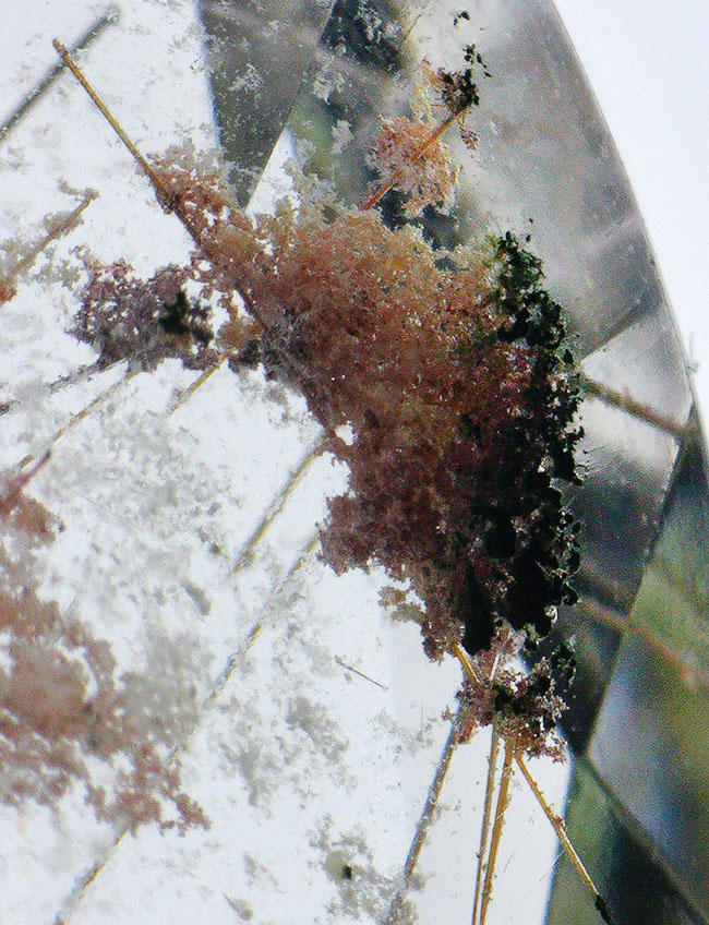 ジェムカット!「天使の髪」と呼ばれる、針状チタンを内包したルチルクォーツ(Rutilated Quartz)(その6)