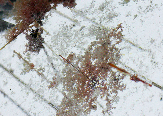 ジェムカット!「天使の髪」と呼ばれる、針状チタンを内包したルチルクォーツ(Rutilated Quartz)(その8)