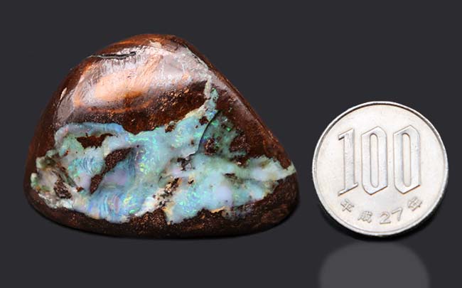 岩石とともに保存された、貴重な天然のオパール（opal）（その9）