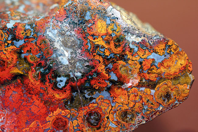 特大!色鮮やか!人気のハンガリー産のストロマトライトを含むメノウ(Agate)(その10)