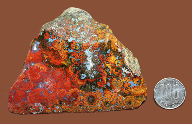特大!色鮮やか!人気のハンガリー産のストロマトライトを含むメノウ(Agate)(その11)