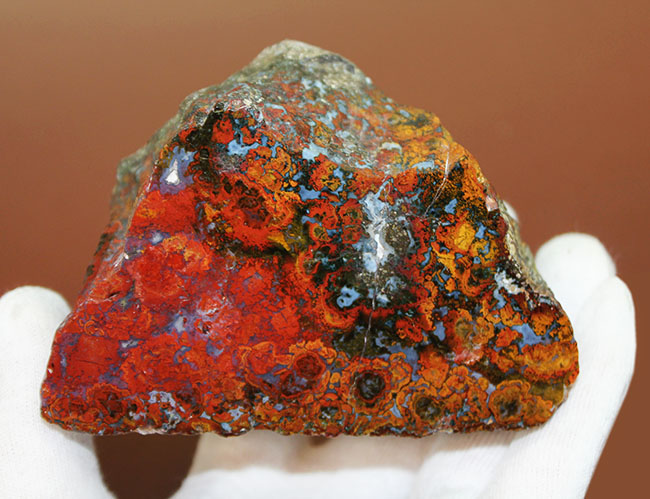 特大!色鮮やか!人気のハンガリー産のストロマトライトを含むメノウ(Agate)(その3)