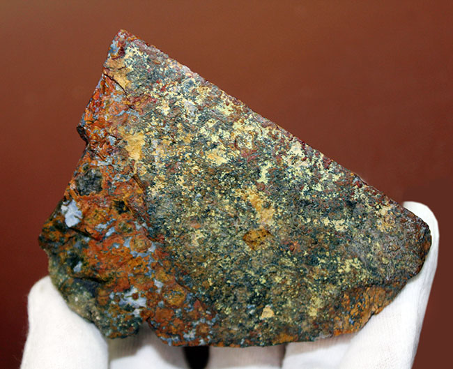 特大!色鮮やか!人気のハンガリー産のストロマトライトを含むメノウ(Agate)(その4)