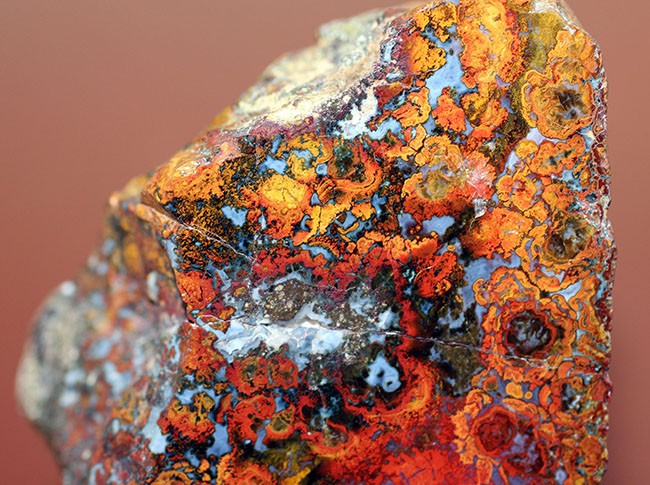 特大!色鮮やか!人気のハンガリー産のストロマトライトを含むメノウ(Agate)(その5)
