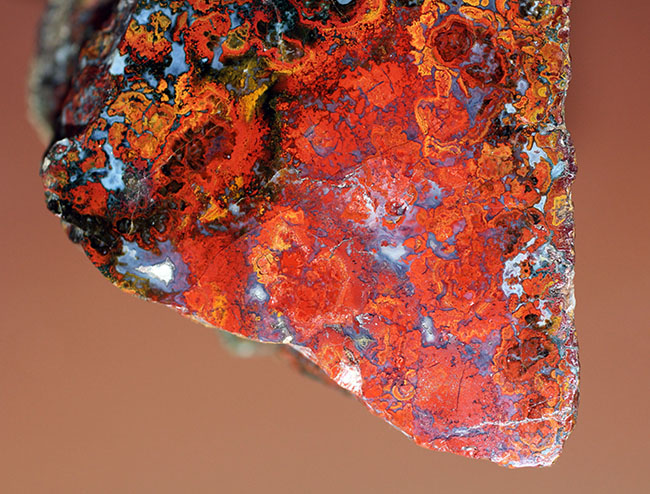 特大!色鮮やか!人気のハンガリー産のストロマトライトを含むメノウ(Agate)(その7)