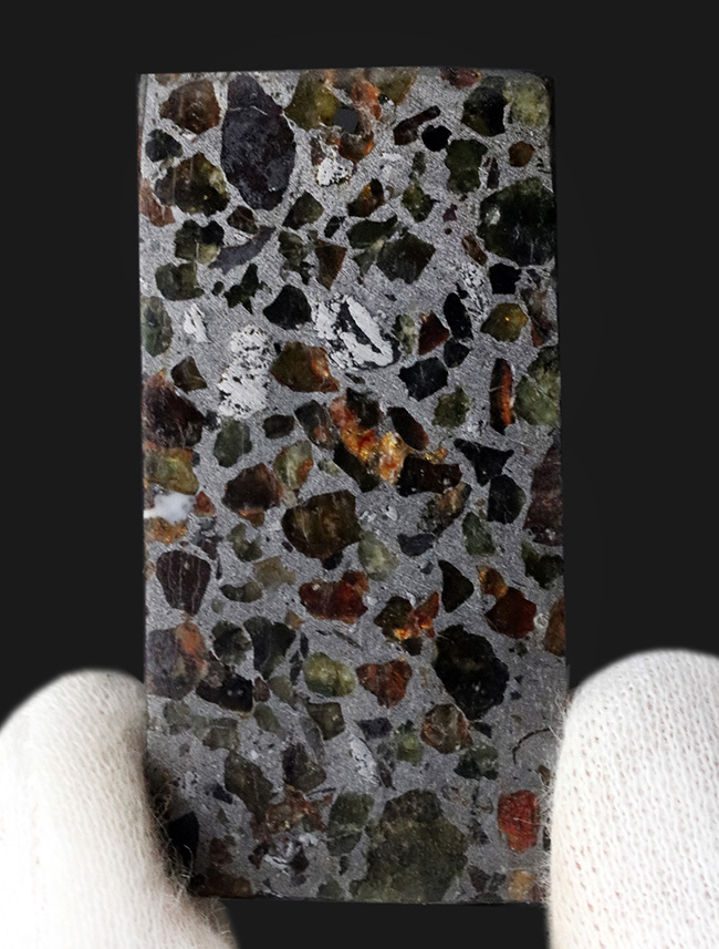 最も美しい隕石の一つ、煌々と輝くケニアンパラサイト（石鉄隕石）。サービスのケース付き（その4）