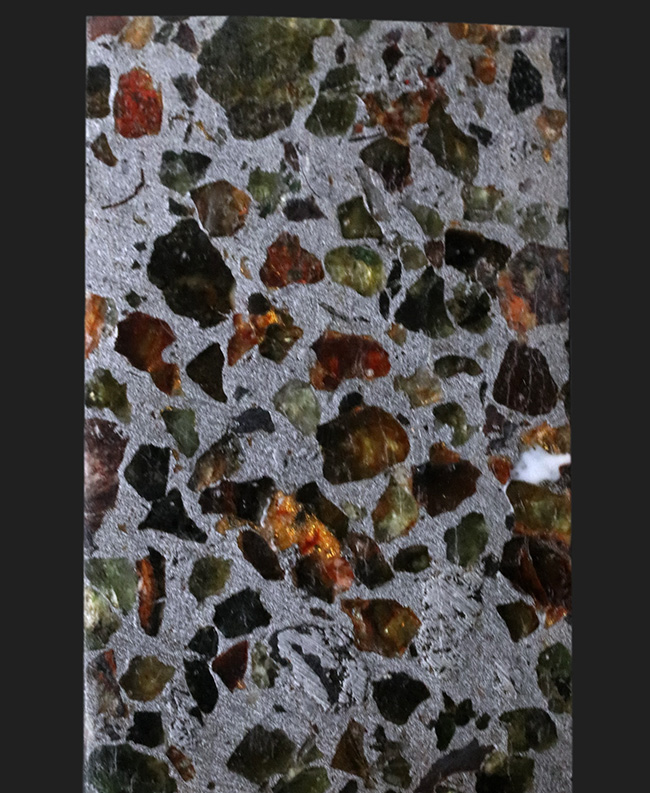 最も美しい隕石の一つ、煌々と輝くケニアンパラサイト（石鉄隕石）。サービスのケース付き（その5）