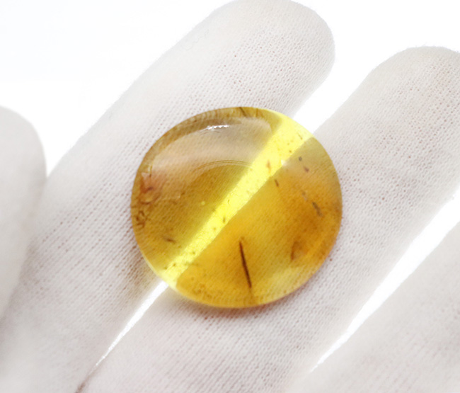 何者か」の「羽毛」が眠る至極の琥珀！ 約1億年前、恐竜時代の神秘が