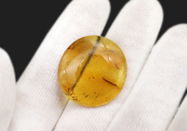 何者か」の「羽毛」が眠る至極の琥珀！ 約1億年前、恐竜時代の神秘が