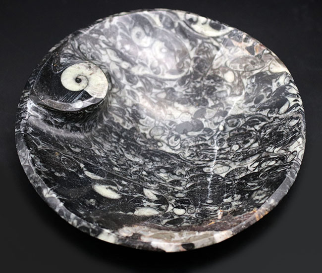 人気！ゴニアタイト（Goniatite）を含む石を加工したお皿の化石（その1）