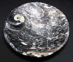 人気！ゴニアタイト（Goniatite）を含む石を加工したお皿の化石