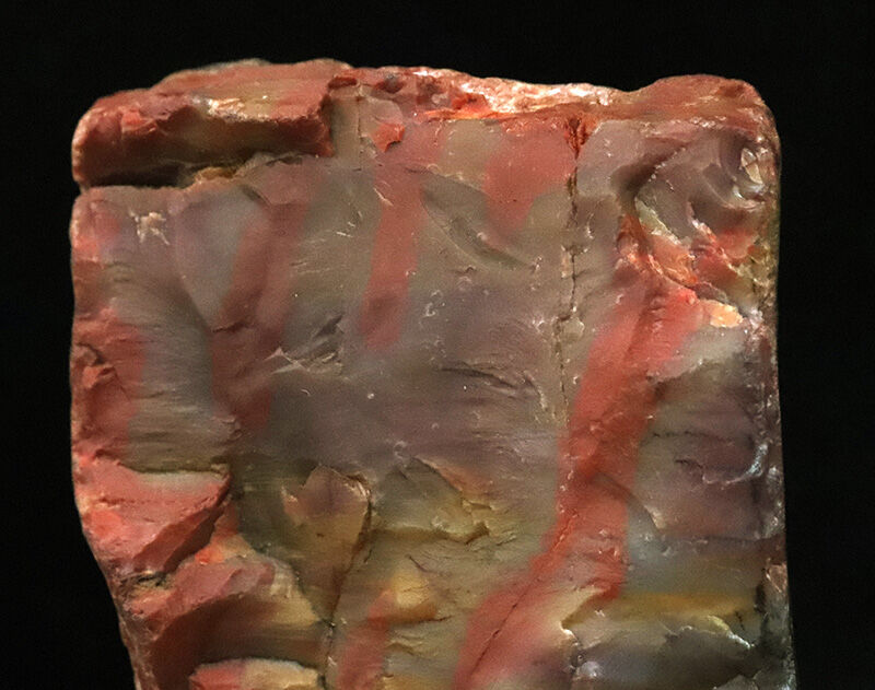 アリゾナ産らしい鮮やかな赤が際立つ厚みのある品！米国アリゾナ産珪化木（Petrified wood）（その2）