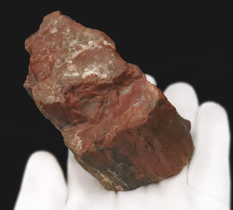 アリゾナ産らしい鮮やかな赤が際立つ厚みのある品！米国アリゾナ産珪化木（Petrified wood）（その4）