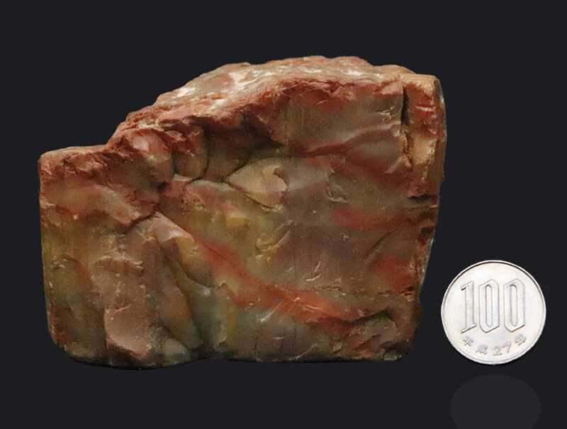アリゾナ産らしい鮮やかな赤が際立つ厚みのある品！米国アリゾナ産珪化木（Petrified wood）（その8）