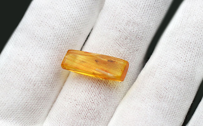 素晴らしい保存状態!4匹の虫を内包したバルティックアンバー(Amber)。またの名をリトアニアンゴールド(その7)