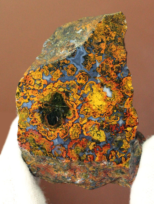 ストロマトライトの縞状模様に占拠された、実に美しいハンガリー産のメノウ(Agate)(その1)