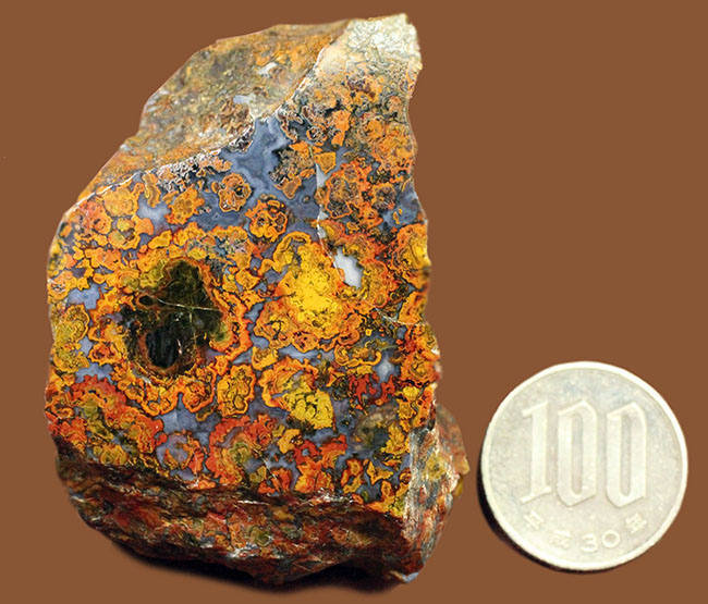 ストロマトライトの縞状模様に占拠された、実に美しいハンガリー産のメノウ(Agate)(その10)