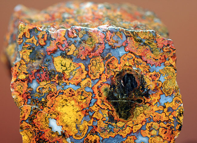 ストロマトライトの縞状模様に占拠された、実に美しいハンガリー産のメノウ(Agate)(その2)