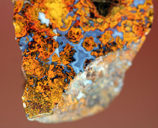 ストロマトライトの縞状模様に占拠された、実に美しいハンガリー産のメノウ(Agate)(その3)