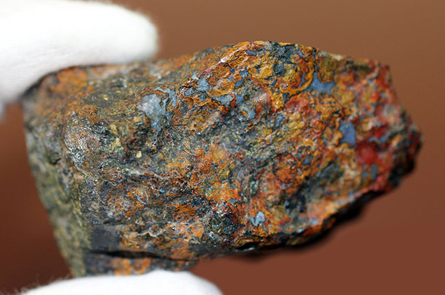 ストロマトライトの縞状模様に占拠された、実に美しいハンガリー産のメノウ(Agate)(その8)