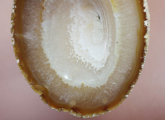 ブラウン基調のブラジル産メノウ(Agate)。グラデーションと模様の美しさ、展示のしやすさが特徴です。(その3)