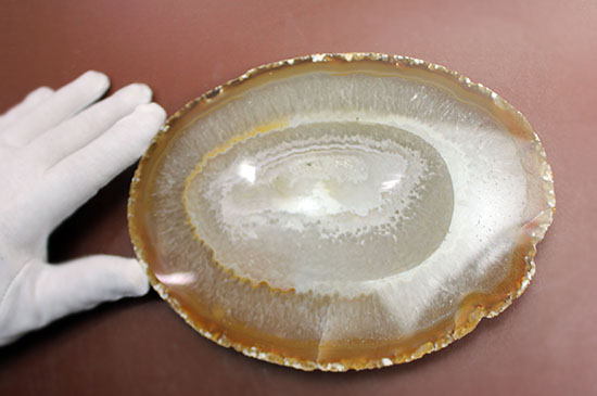 ブラウン基調のブラジル産メノウ（Agate）。グラデーションと模様の美しさ、展示のしやすさが特徴です。（その4）