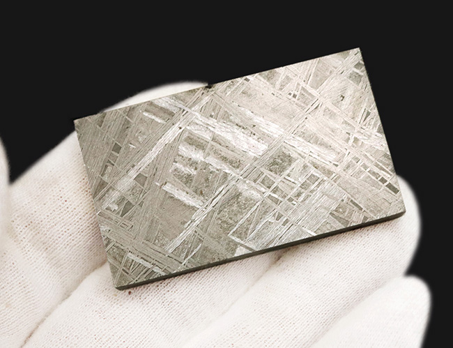 5センチのプレートに詰まった壮大なロマン！見事なウィドマンシュテッ