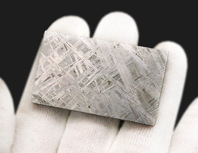 5センチのプレートに詰まった壮大なロマン！見事なウィドマンシュテッ