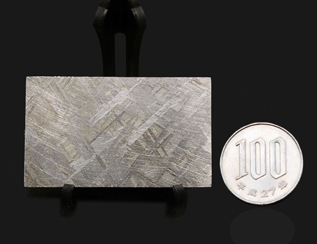 5センチのプレートに詰まった壮大なロマン！見事なウィドマンシュテッ