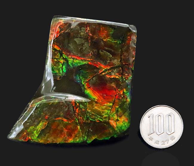 濃い赤、緑の輝きを放つ!クリスマスにはまだ早い!?ブーツ型のアンモライト(Ammolite)のピース(その10)