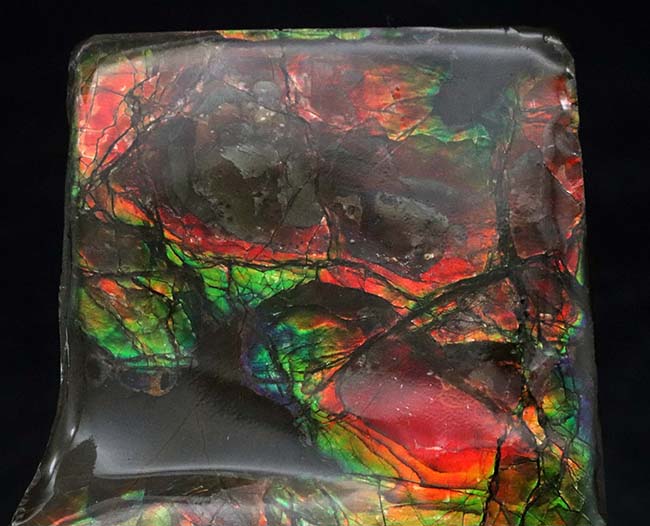 濃い赤、緑の輝きを放つ!クリスマスにはまだ早い!?ブーツ型のアンモライト(Ammolite)のピース(その2)