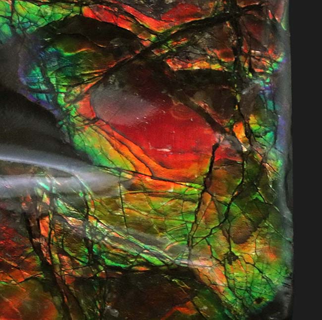 濃い赤、緑の輝きを放つ!クリスマスにはまだ早い!?ブーツ型のアンモライト(Ammolite)のピース(その3)