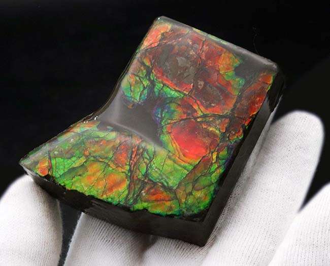 濃い赤、緑の輝きを放つ!クリスマスにはまだ早い!?ブーツ型のアンモライト(Ammolite)のピース(その5)