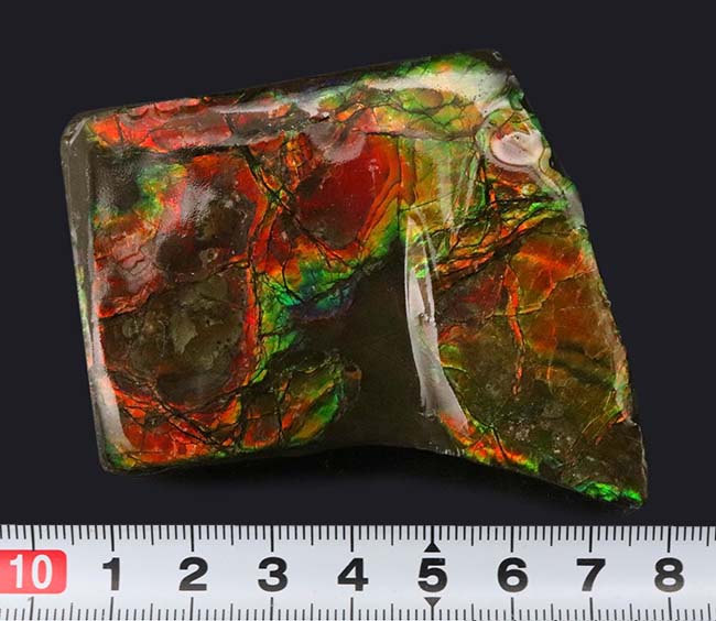 濃い赤、緑の輝きを放つ!クリスマスにはまだ早い!?ブーツ型のアンモライト(Ammolite)のピース(その9)