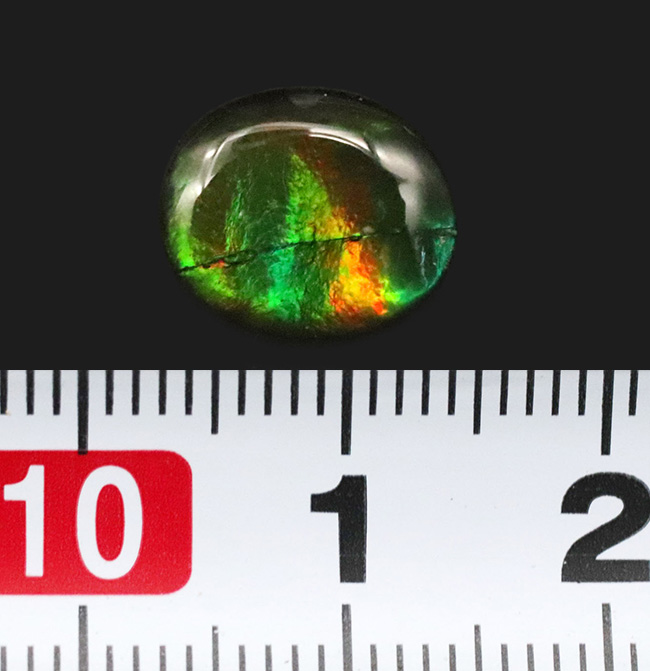 グリーンに輝く!希少な生物起源の宝石、アンモライト(Ammolite)を使ったピンブローチ(その5)