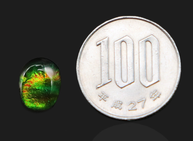 グリーンに輝く!希少な生物起源の宝石、アンモライト(Ammolite)を使ったピンブローチ(その6)