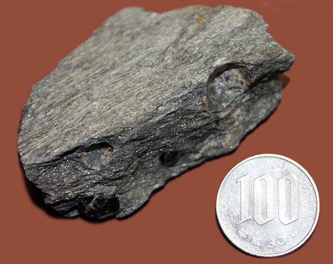 物凄く硬い石として知られる、鉄礬柘榴石（てつばんざくろいし）、アルマンディンガーネット。アラスカ州産。（その7）