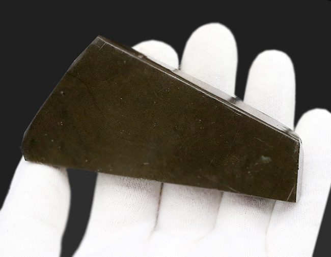 人気のドラゴンスキン！希少色とされるブルー＆パープルを含む、極めて美しいアンモ”ラ”イト（Ammolite）の大型ピース（その6）
