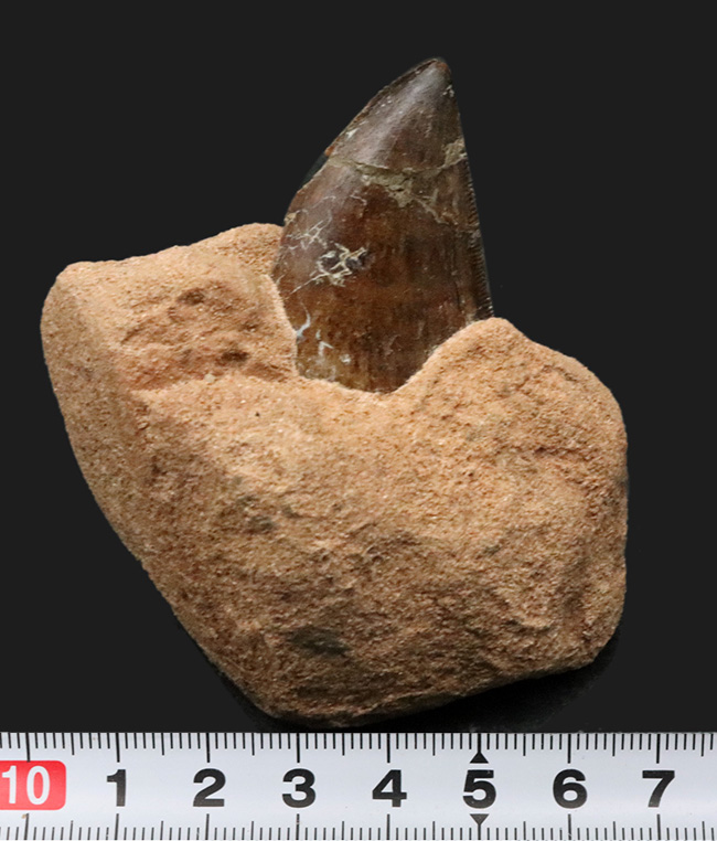 20年以上前のオールドコレクション！幻の逸品、アジアのティー