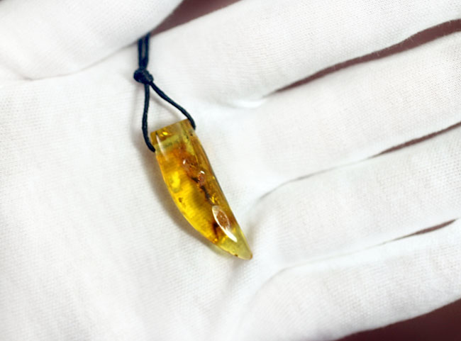 カジュアルなスタイルにぴったり、人類最古の装飾品、バルト海産、琥珀化石のペンダント(その10)