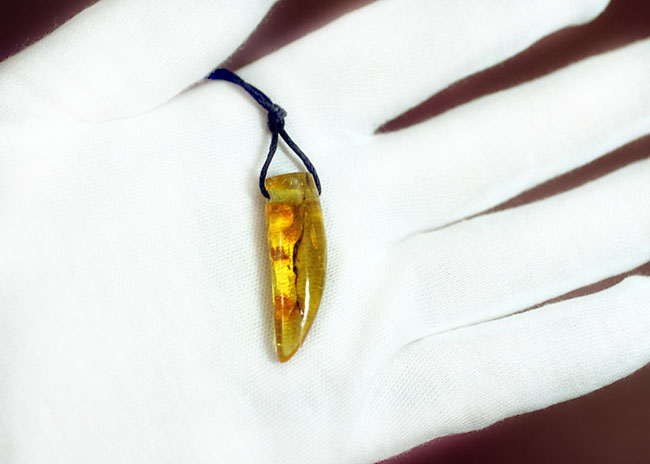 カジュアルなスタイルにぴったり、人類最古の装飾品、バルト海産、琥珀化石のペンダント(その2)