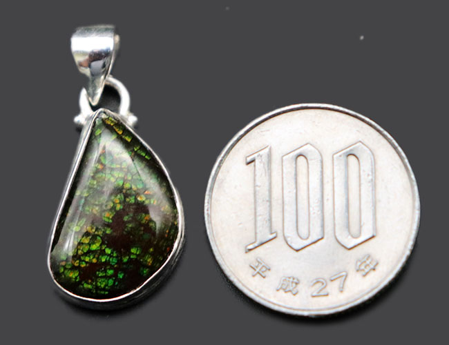 ドラゴンスキン!グリーンを呈するアンモライト(Ammolite)を使ったペンダントトップ。金具はスターリングシルバー。チェーン、革紐、ジュエリーケース付き(その8)