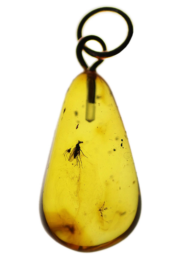 内部に虫が内包！レモンイエローを呈するバルト海産の琥珀を使ったペンダントトップ（シルバーチェーン、革紐、高級ジュエリーケース付）（その1）