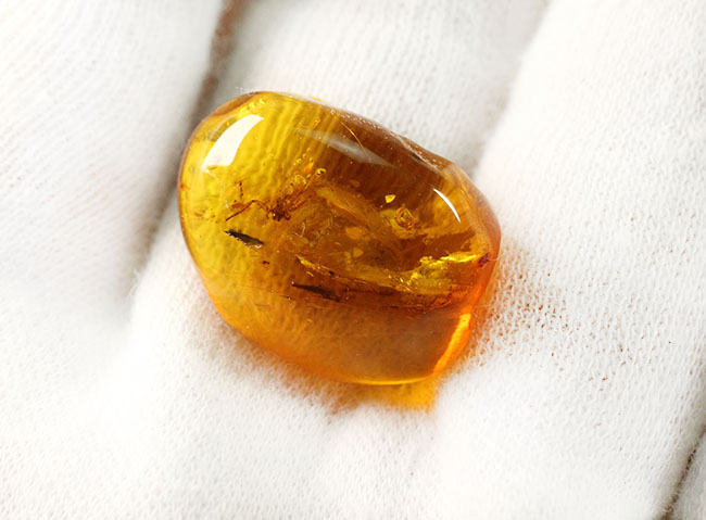 4000万年以上前の生態系の一部が保存された透明度の高いバルト海産の琥珀(Amber)(その4)